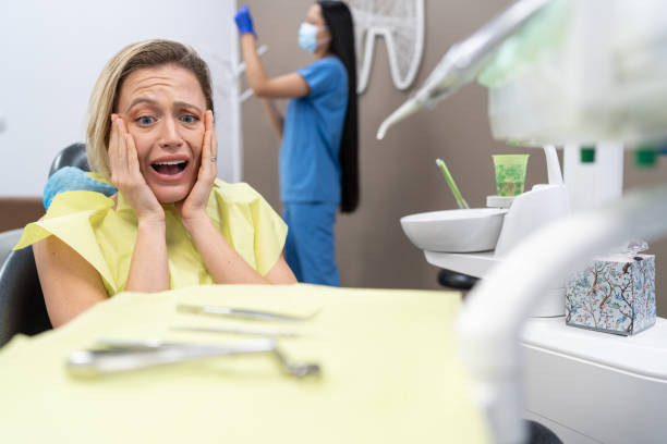 Best Emergency Dental Services Near Me  in St Joseph, IL